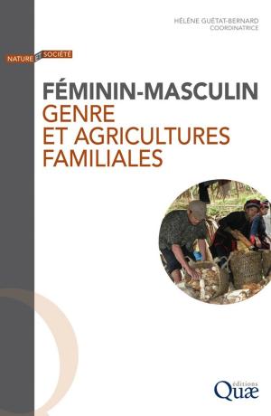 Cover of the book Féminin-masculin by Marc Benoît, Jean-Pierre Deffontaines, Sylvie Lardon