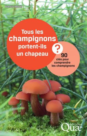 Cover of Tous les champignons portent-ils un chapeau ?