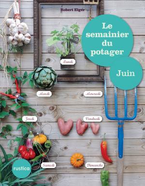 Book cover of Le semainier du potager - Juin