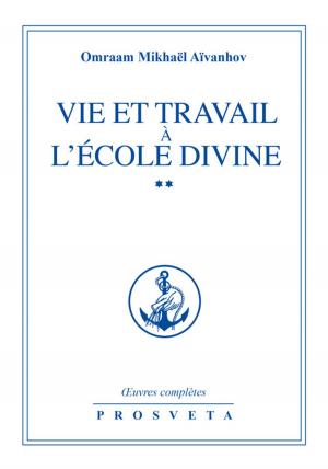 Cover of the book Vie et travail à l'École divine by Georg Feuerstein