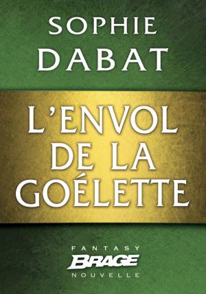 Cover of the book L'Envol de la goélette by Richard Sapir, Warren Murphy