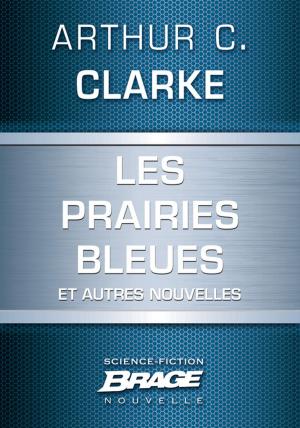 Cover of the book Les Prairies bleues (suivi de) Un coup de soleil bénin (suivi de) Hors du berceau, en éternelle orbite by Ed. Greenwood