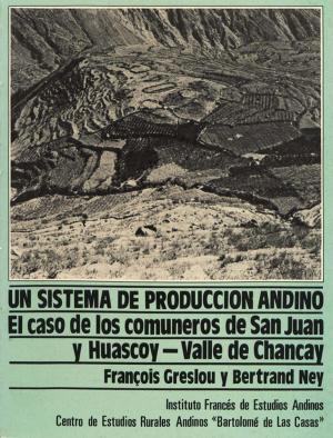 Cover of the book Un sistema de producción andino by Collectif