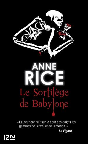 Cover of the book Le sortilège de Babylone by Andrea LUCCELLA