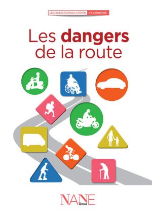 Cover of the book Les dangers de la route by Dominique De Margerie