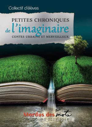 Cover of the book Petites chroniques de l’imaginaire by Annie-Claude Thériault