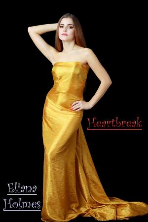 Cover of the book Heartbreak by Daisy Stark