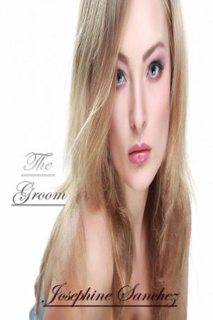 Cover of the book The Groom by Yolanda Littene
