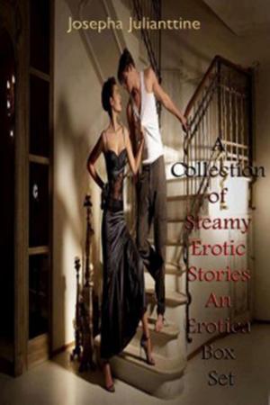 Cover of the book A Collection of Steamy Erotic Stories An Erotica Box Set by ELIZABETH J JONES
