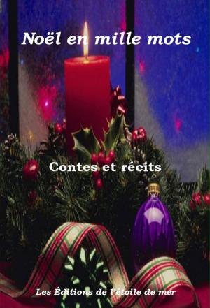 Cover of Noël en mille mots