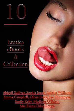 Book cover of 10 Erotica eBooks – A Collection