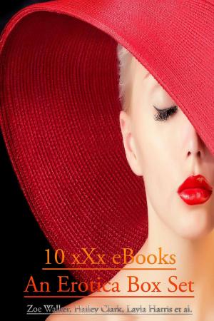 Cover of 10 xXx eBooks – An Erotica Box Set