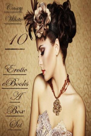 Cover of the book 10 Erotic eBooks – A Box Set by MARGARET L WILSON