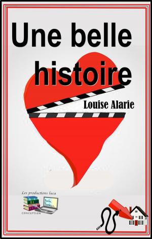 Cover of the book Une belle histoire by Normand Jubinville
