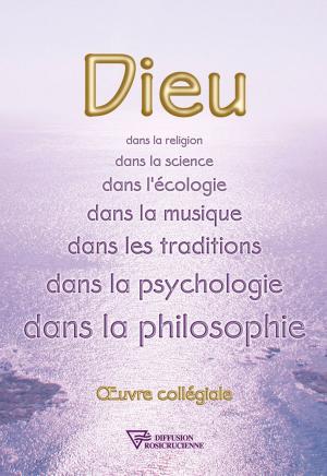 Cover of the book Dieu by Serge Toussaint
