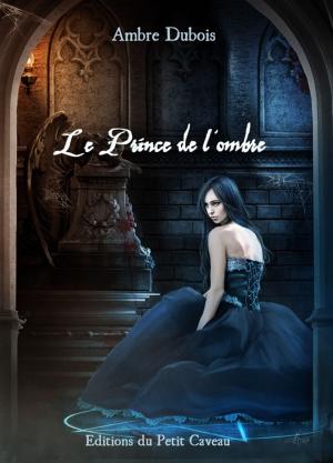 Book cover of Le Prince de l'ombre