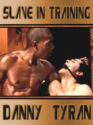 Cover of Slave in Training