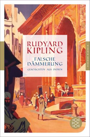 Cover of the book Falsche Dämmerung by Eric T. Hansen