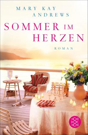 Cover of the book Sommer im Herzen by George Packer
