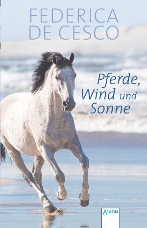 Book cover of Pferde, Wind und Sonne