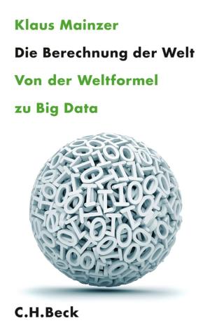Cover of the book Die Berechnung der Welt by Brigitta Bondy