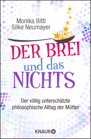 Cover of the book Der Brei und das Nichts by Jürgen Schreiber