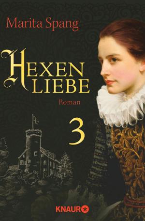 Cover of the book Hexenliebe by Iny Lorentz