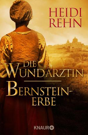 Cover of the book Die Wundärztin / Bernsteinerbe by Amy Kathleen Ryan
