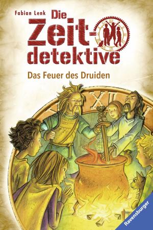 Book cover of Die Zeitdetektive 18: Das Feuer des Druiden