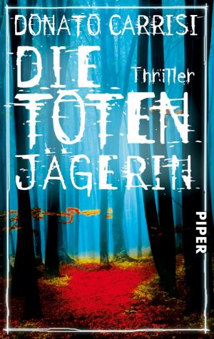 bigCover of the book Die Totenjägerin by 