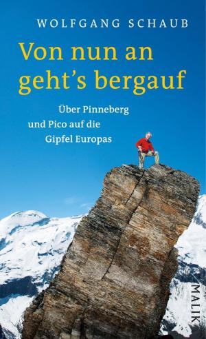 Cover of the book Von nun an geht's bergauf by Marina Anderson