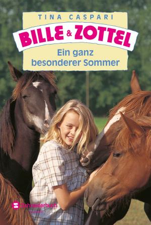 Cover of the book Bille und Zottel - Ein ganz besonderer Sommer by Enid  Blyton
