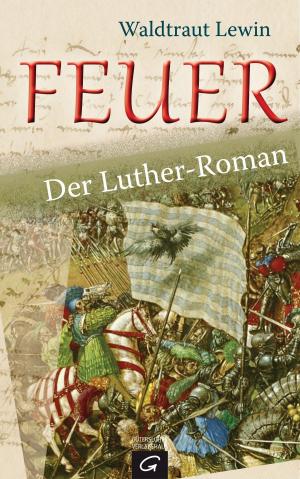 Book cover of Feuer