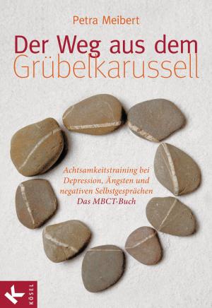 Cover of the book Der Weg aus dem Grübelkarussell by Ken Wilber