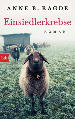 Book cover of Einsiedlerkrebse