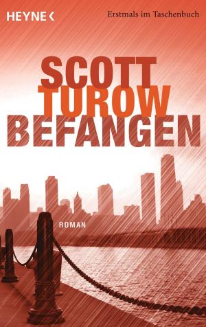 Cover of the book Befangen by Olen Steinhauer