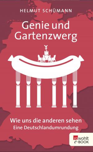 Cover of the book Genie und Gartenzwerg by Jonathan Franzen, Karl Kraus, Paul Reitter, Daniel Kehlmann