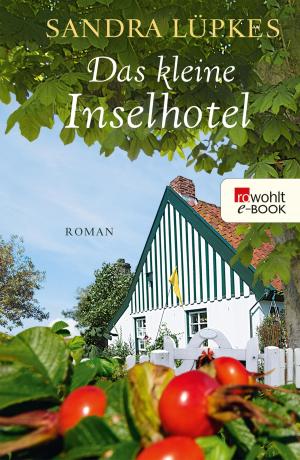 Cover of the book Das kleine Inselhotel by Paul Auster