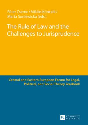 Cover of the book The Rule of Law and the Challenges to Jurisprudence by Xiaodong Zhang