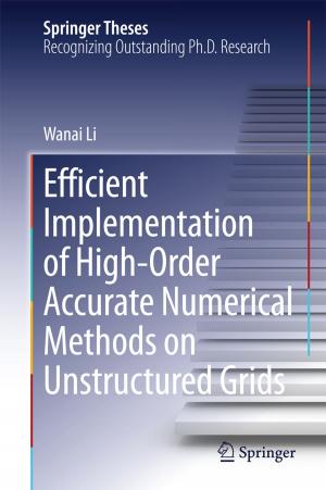 Cover of the book Efficient Implementation of High-Order Accurate Numerical Methods on Unstructured Grids by Christoph Herrmann