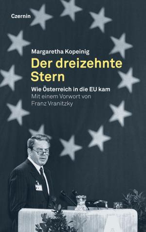 Cover of the book Der dreizehnte Stern by Dirk Stermann