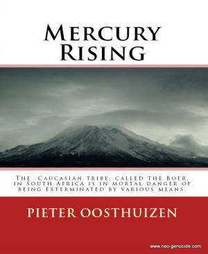 Cover of the book Mercury Rising by Hendrik M. Bekker