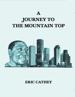 Cover of the book A Journey To The Mountain Top by Veit Lindau
