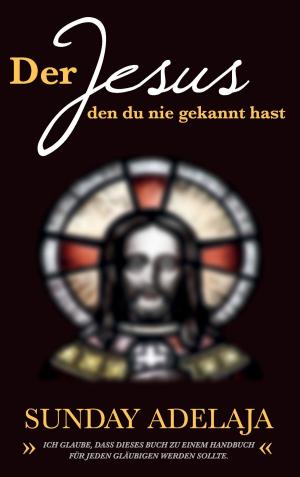 Cover of the book Der Jesus, den du nie gekannt hast by Jörg Becker