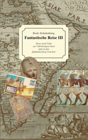 Book cover of Fantastische Reise III