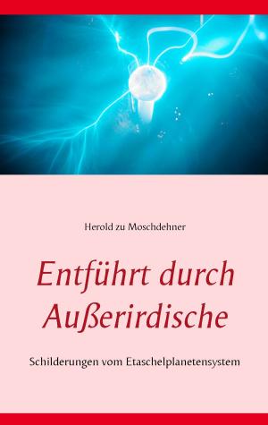 Book cover of Entführt durch Außerirdische