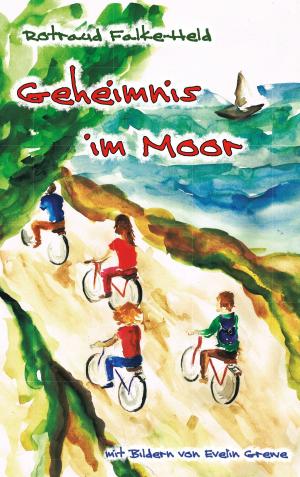 Cover of the book Geheimnis im Moor by Anne-Katrin Straesser
