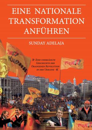 Cover of the book Eine nationale Transformation anführen by Mathias Berger