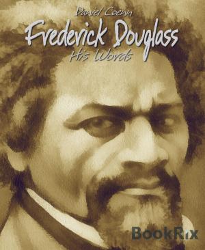 Cover of the book Frederick Douglass by Mattis Lundqvist