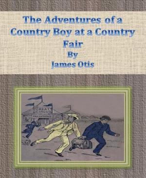 Cover of the book The Adventures of a Country Boy at a Country Fair by Joseph P Hradisky Jr